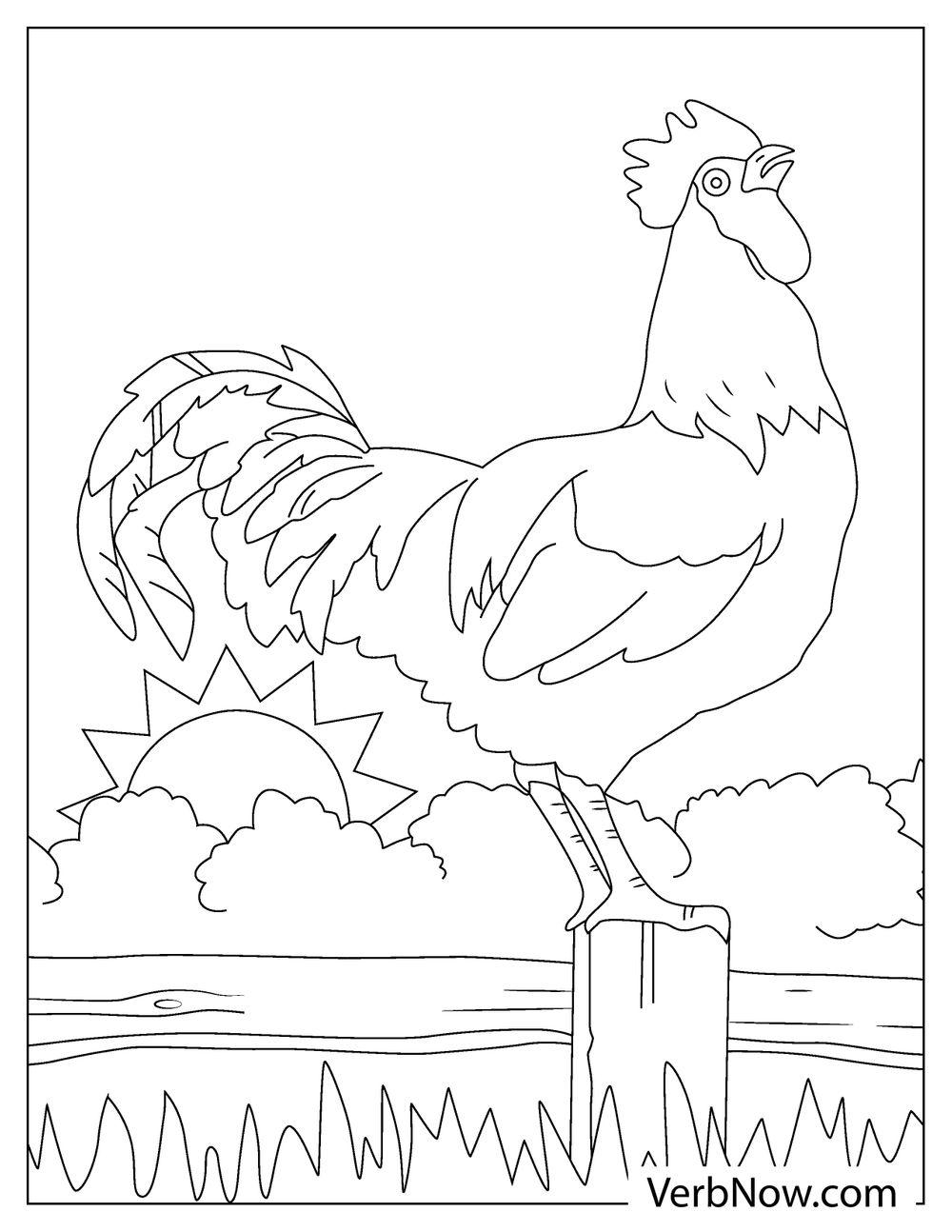 Rooster standing in barnyard coloring page