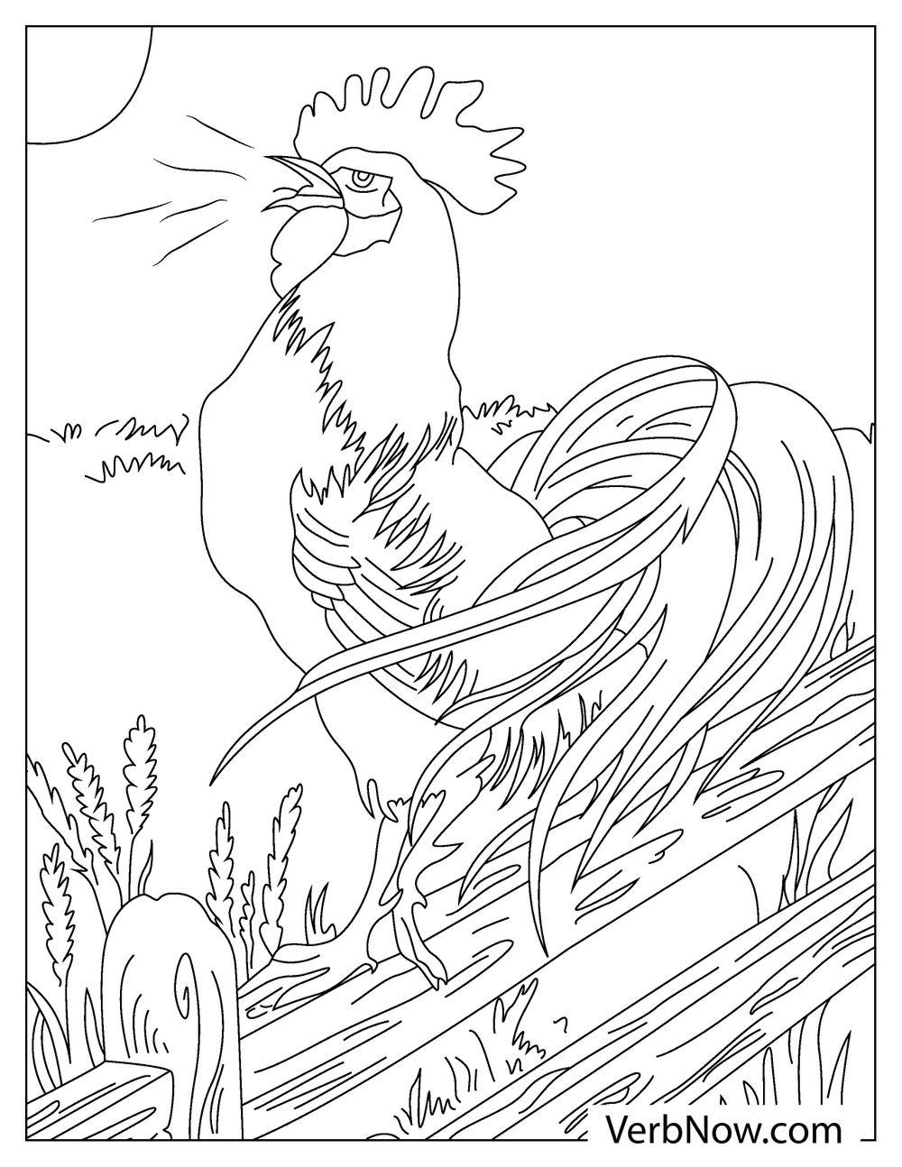 Sunrise crowing rooster coloring worksheet