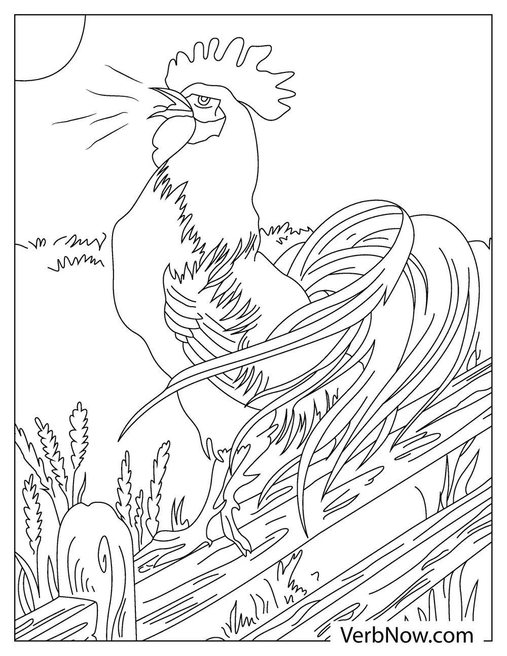 Sunrise crowing rooster coloring worksheet