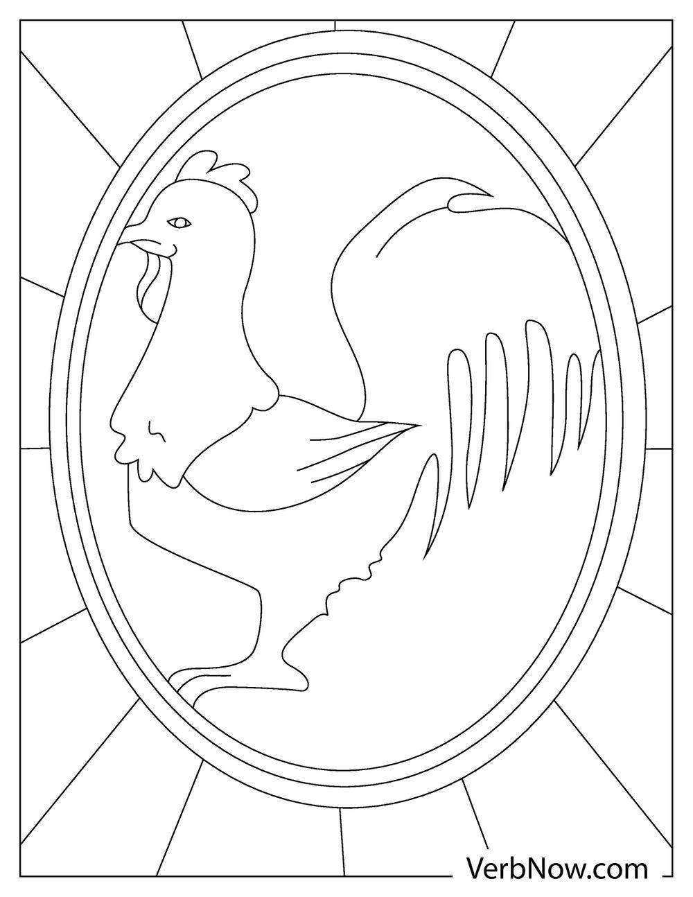 Coloring page of rooster in farmland