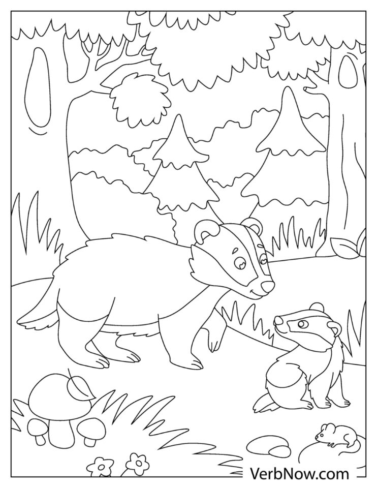 Free BADGER Coloring Pages for Download (Printable PDF)