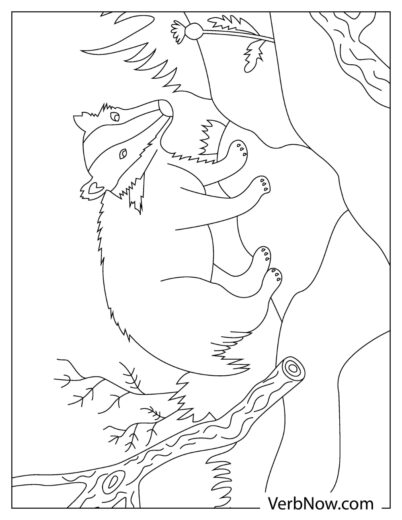 Free BADGER Coloring Pages for Download (Printable PDF)