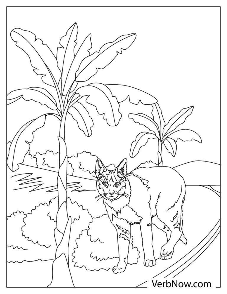 Free BOBCAT Coloring Pages for Download (Printable PDF)