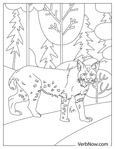 Free BOBCAT Coloring Pages for Download (Printable PDF)