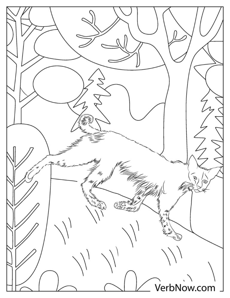 Free BOBCAT Coloring Pages &amp; Book for Download (Printable PDF) - VerbNow