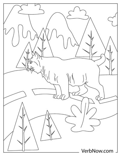 Free BOBCAT Coloring Pages for Download (Printable PDF)