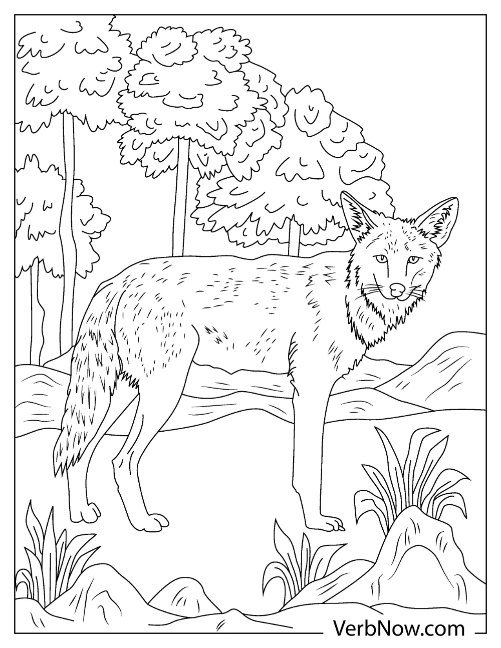 Cartoon coyote in the forest coloring page