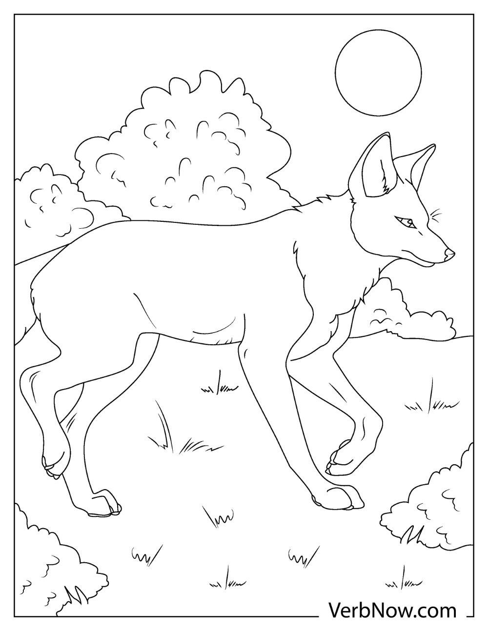 The female coyote seeking food coloring page