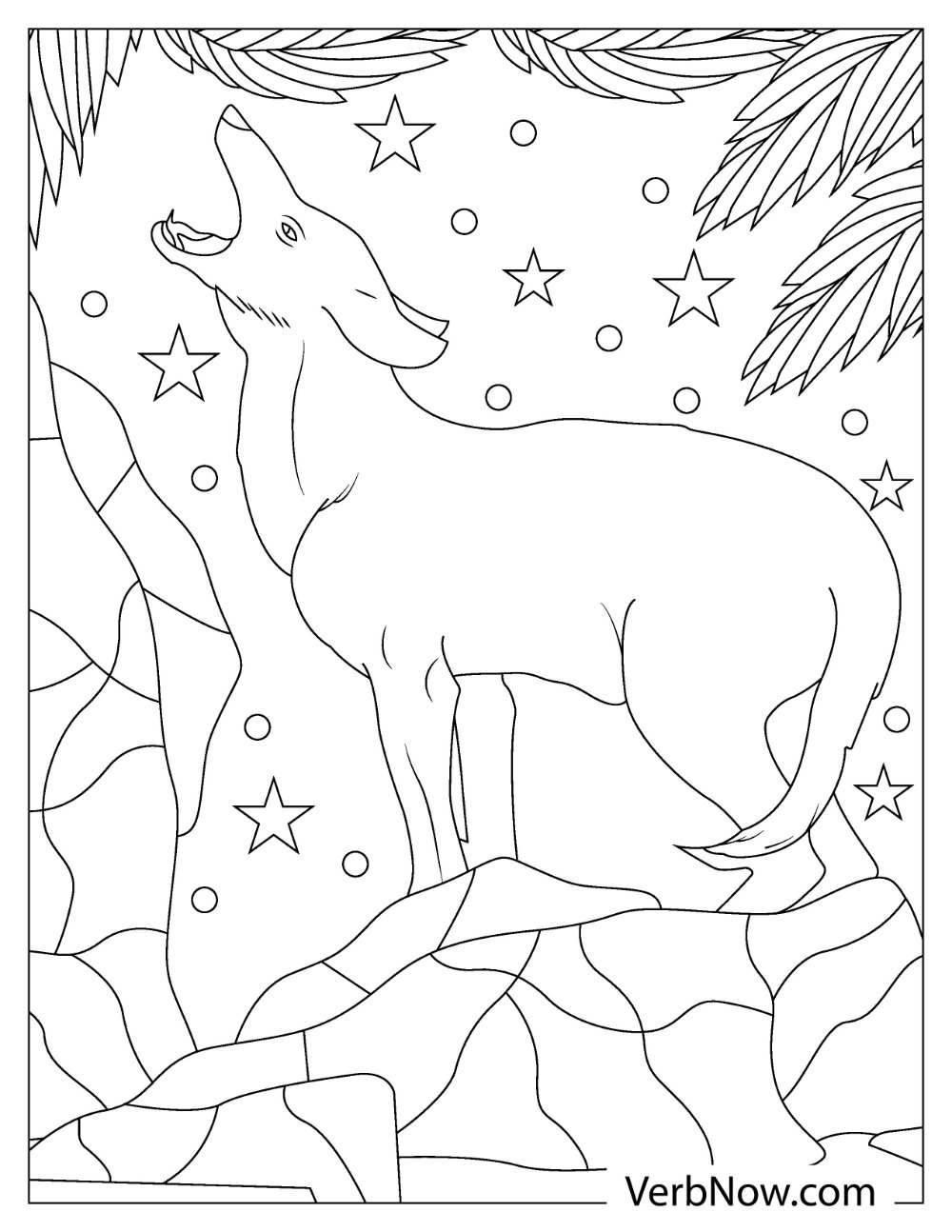 The coyote howling in the starry night