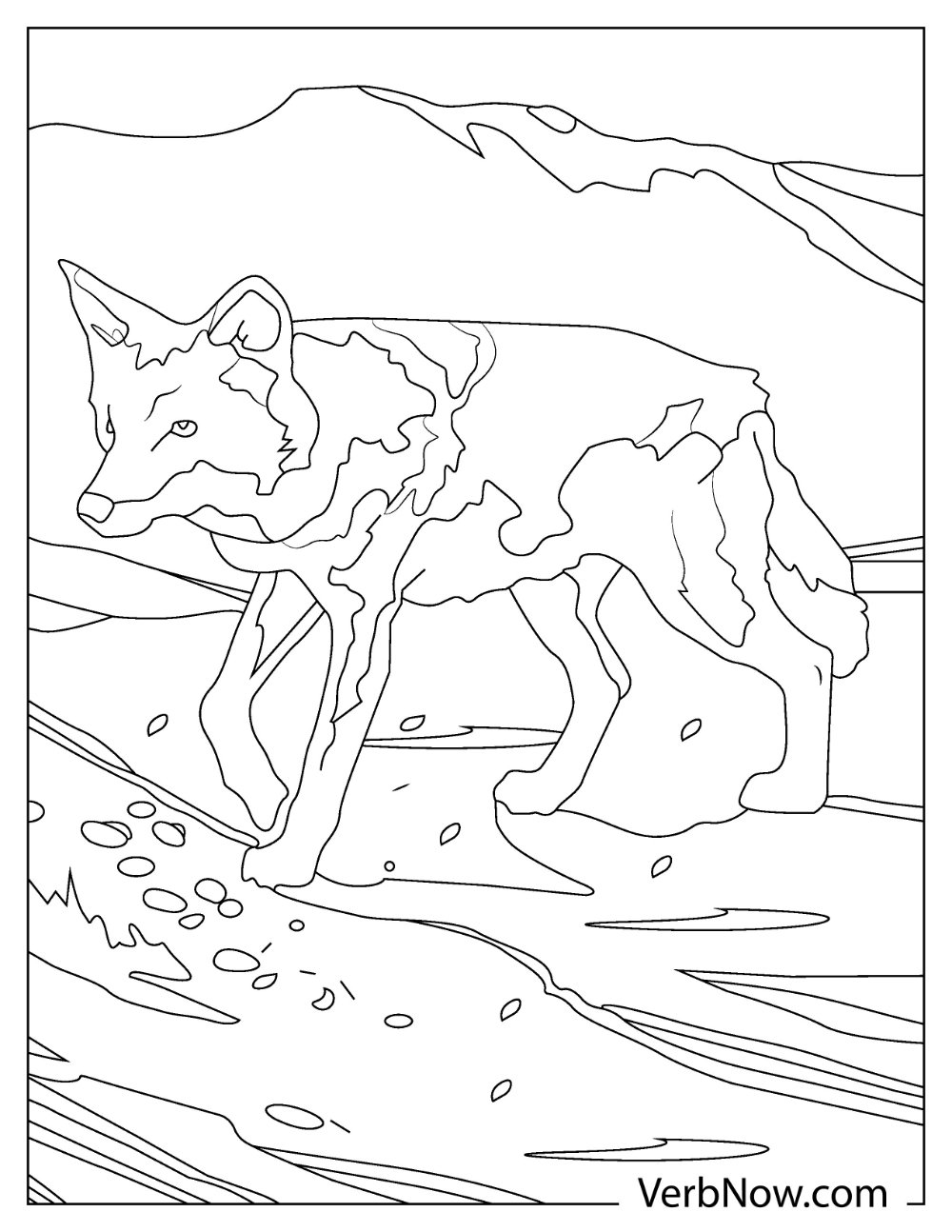 A fierce adult coyote coloring page