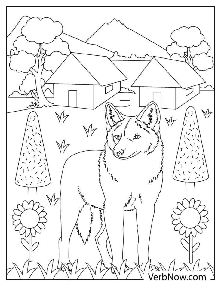 Free COYOTE Coloring Pages for Download (Printable PDF)