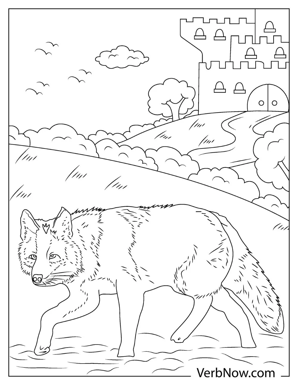 Coyote walking away from the castle