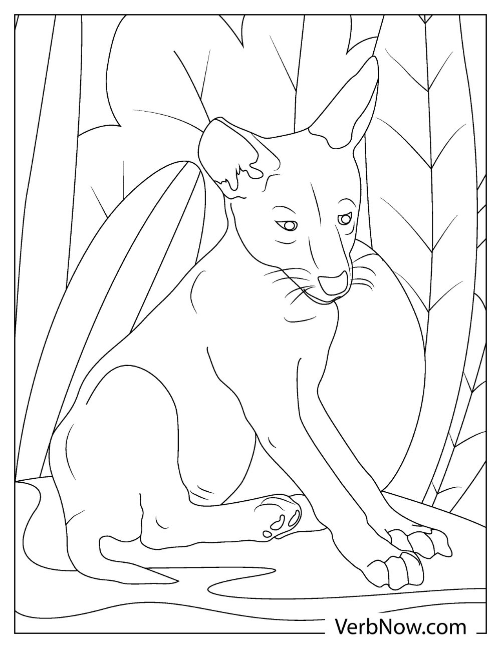 Coyote resting under shade coloring page