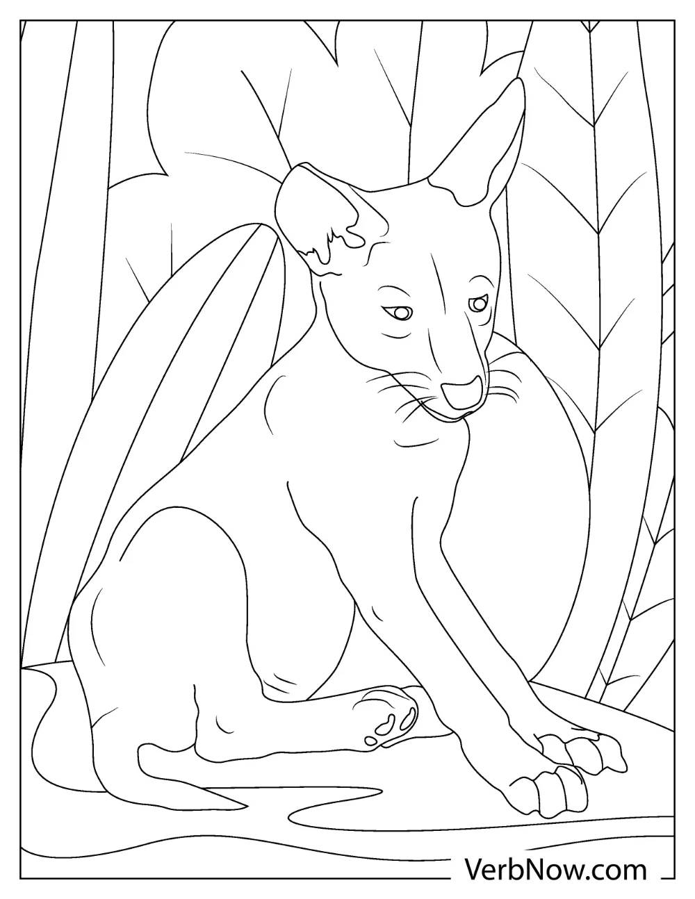 Coyote resting under shade coloring page