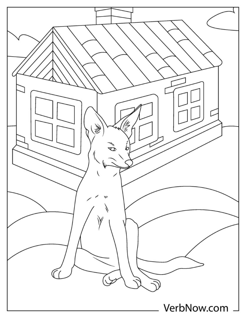 Free COYOTE Coloring Pages for Download (Printable PDF)