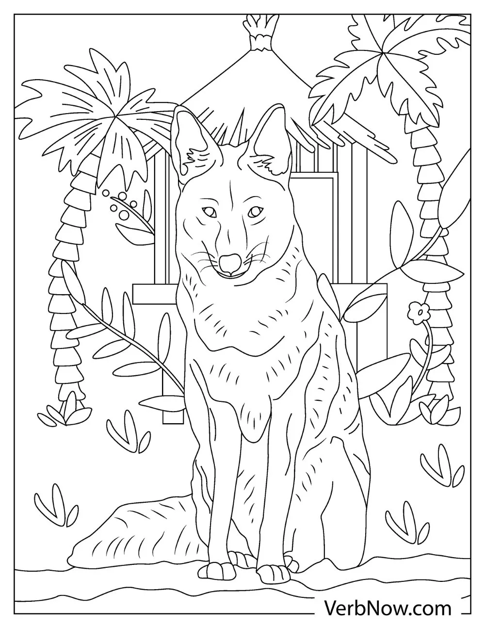 The Coyote and the plant hut