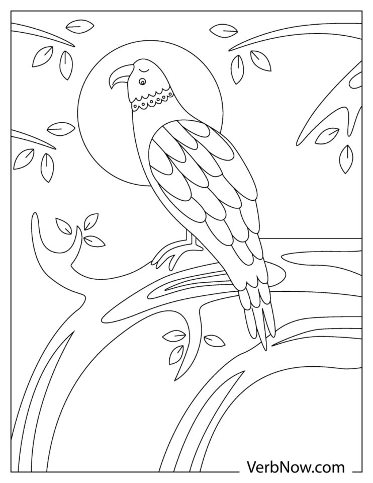 Free EAGLE Coloring Pages for Download (Printable PDF)