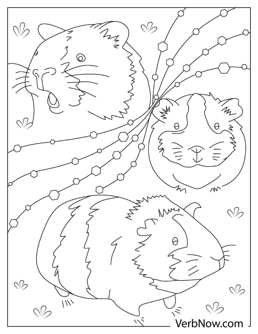Free GUINEA PIG Coloring Pages & Book for Download (Printable PDF
