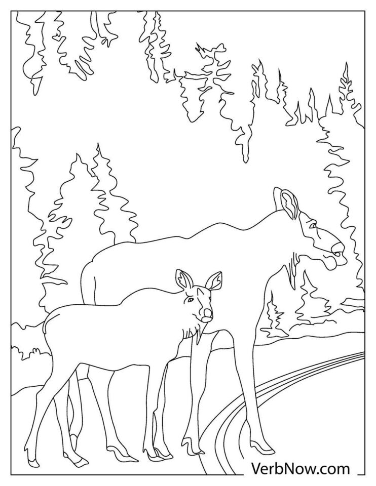 Free MOOSE Coloring Pages for Download (Printable PDF)