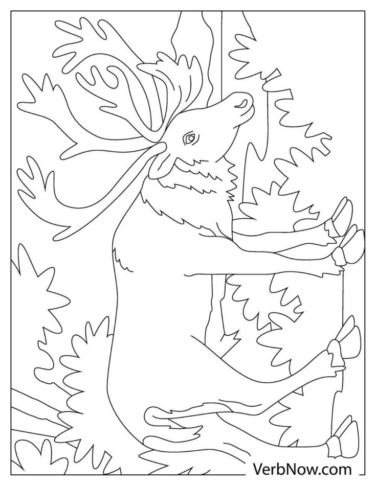 Free MOOSE Coloring Pages for Download (Printable PDF)
