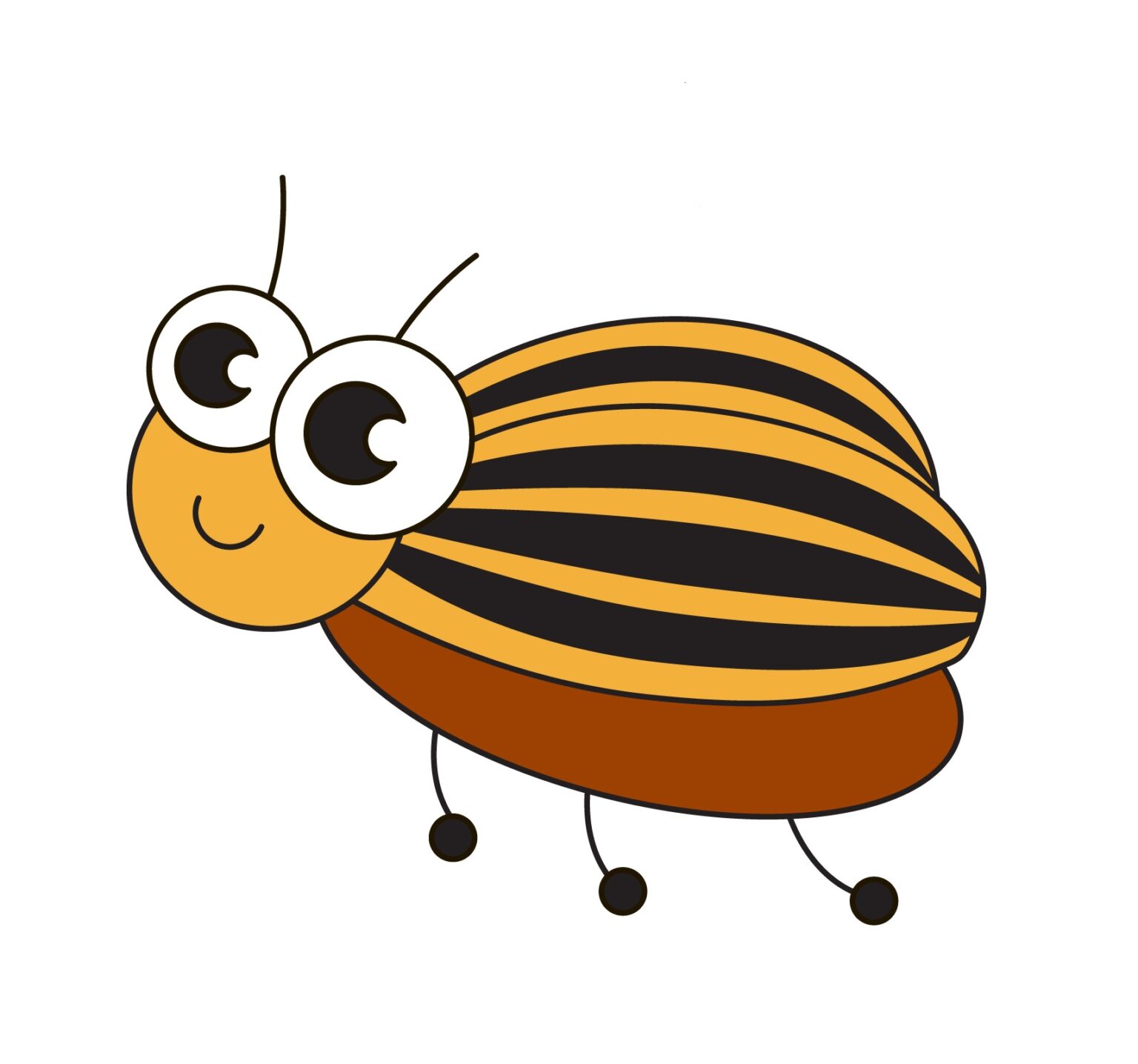 How to Draw a Potato Bug in 11 Easy Steps VerbNow