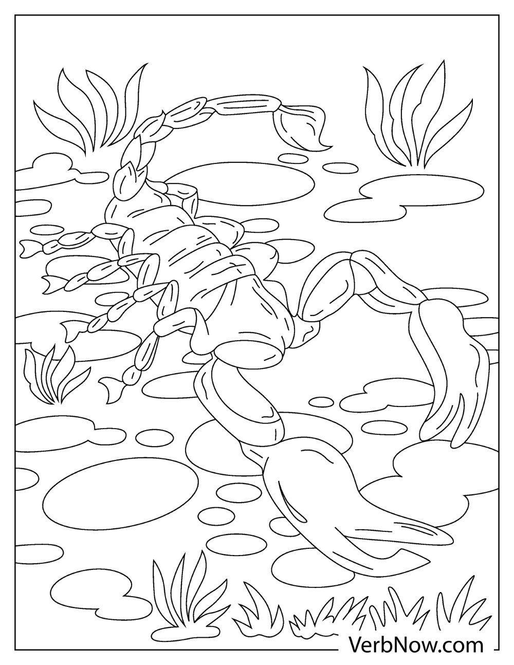 Easy scorpion sketch coloring for preschool