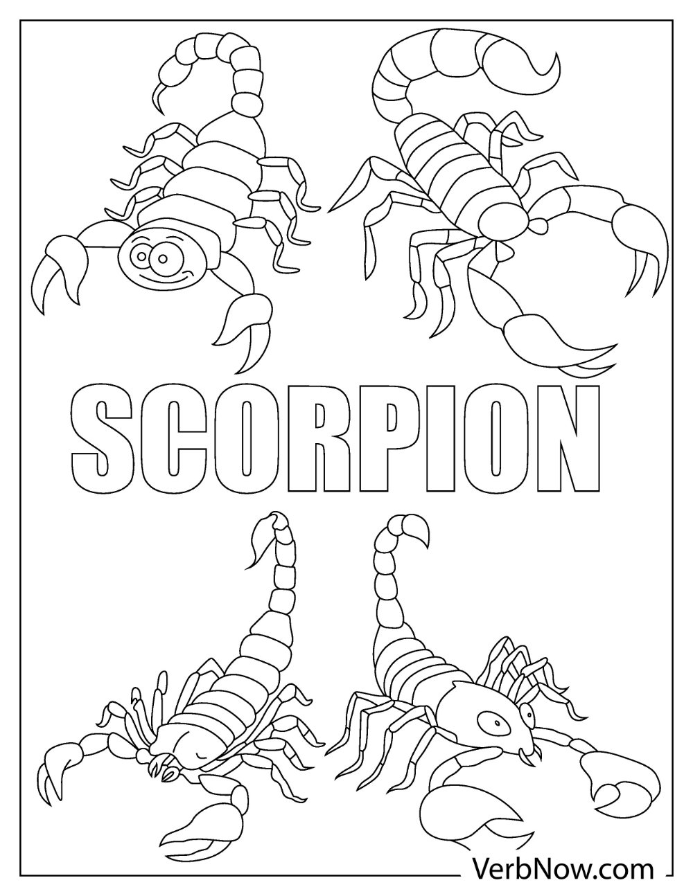 Real-life desert scorpion drawing to color