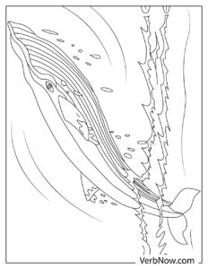 Free WHALE Coloring Pages for Download (Printable PDF)