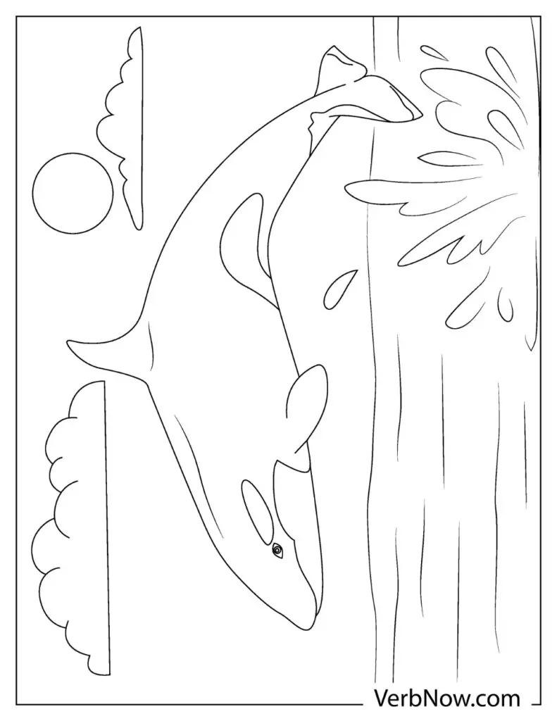 Whale Illustration 22 page 01