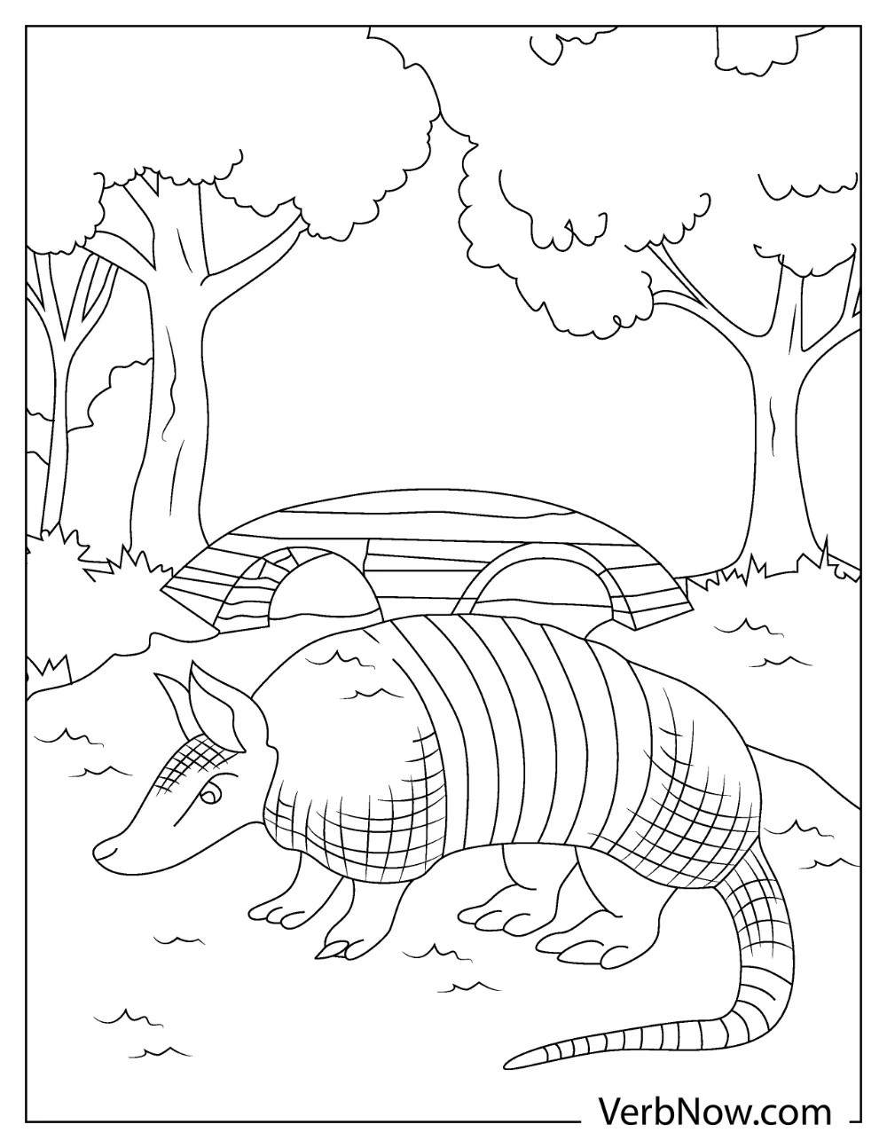 Smiling armadillo with forest background coloring sheet