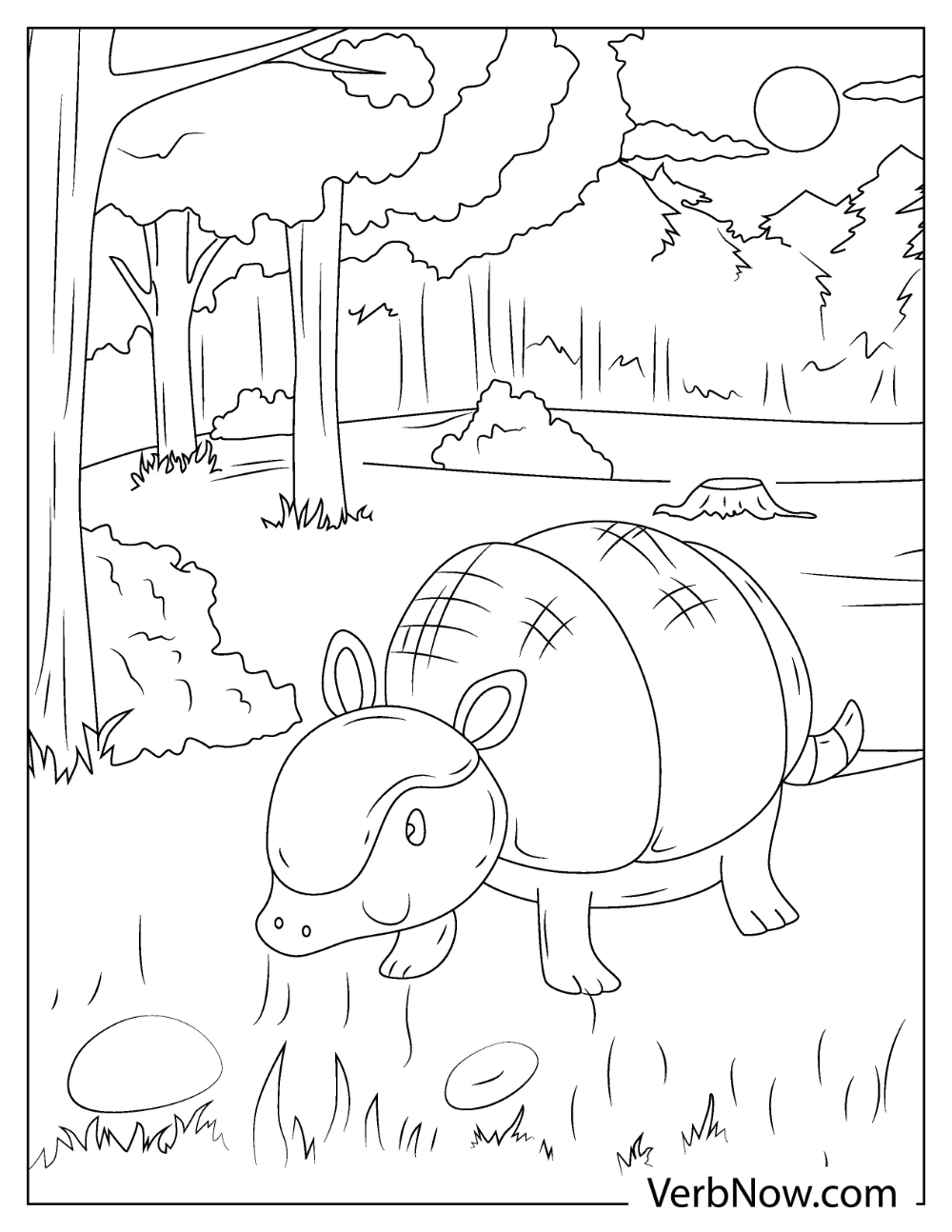 Armadillo with textured shell coloring sheet