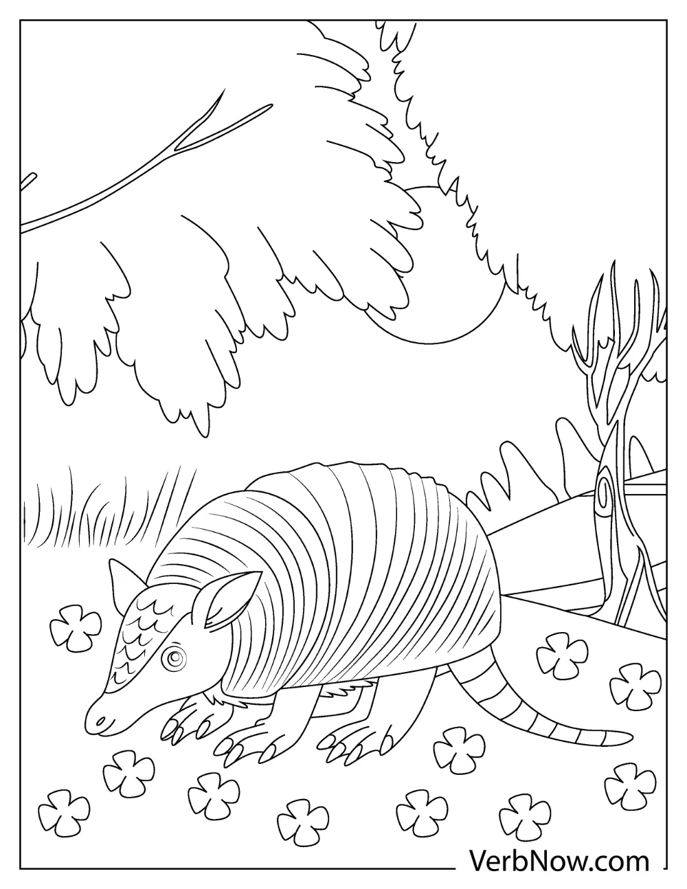 Cute Armadillo smiling with curled tail coloring picture
