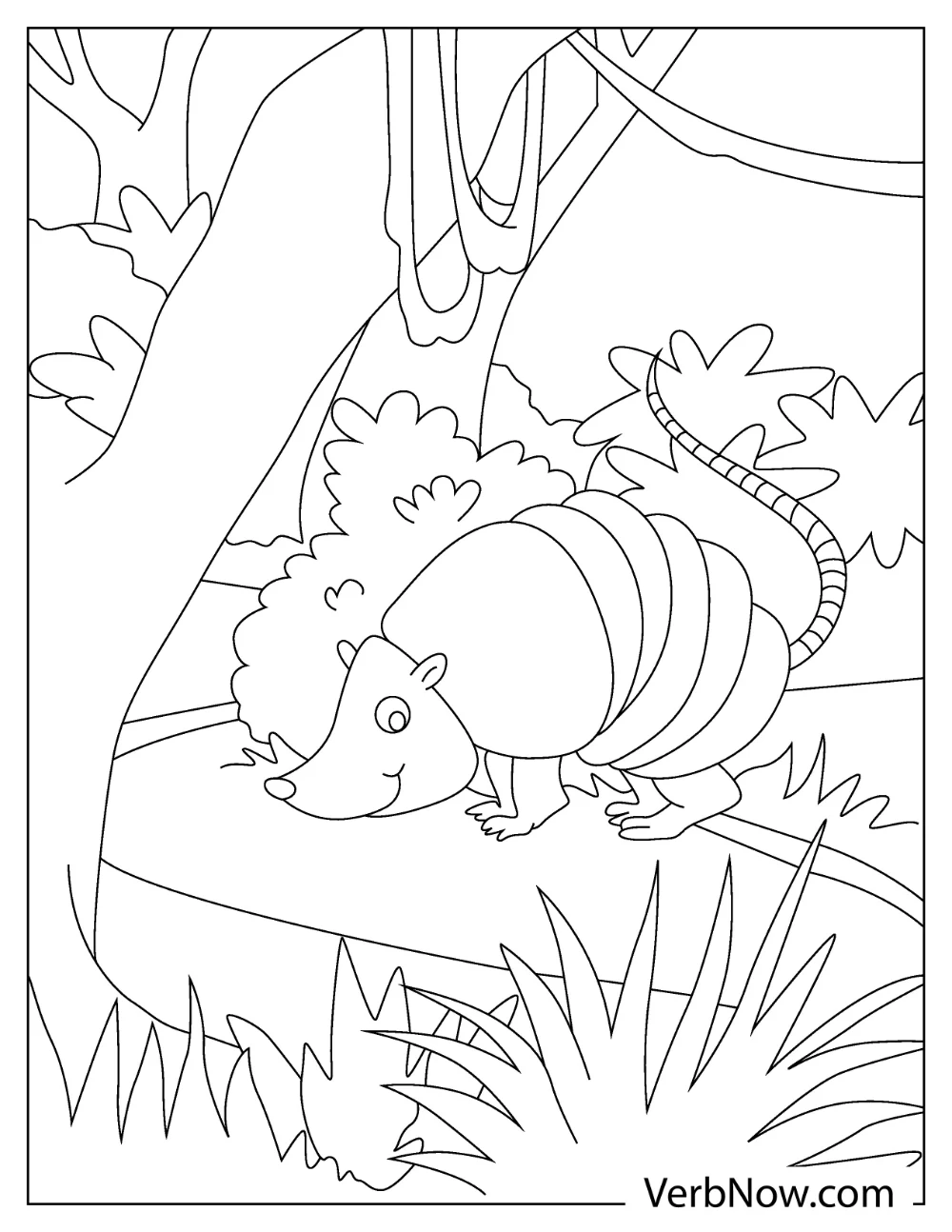 Simple and cute armadillo coloring sheet for preschool