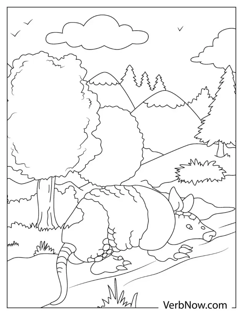 Armadillo Illustrations 22 page 01