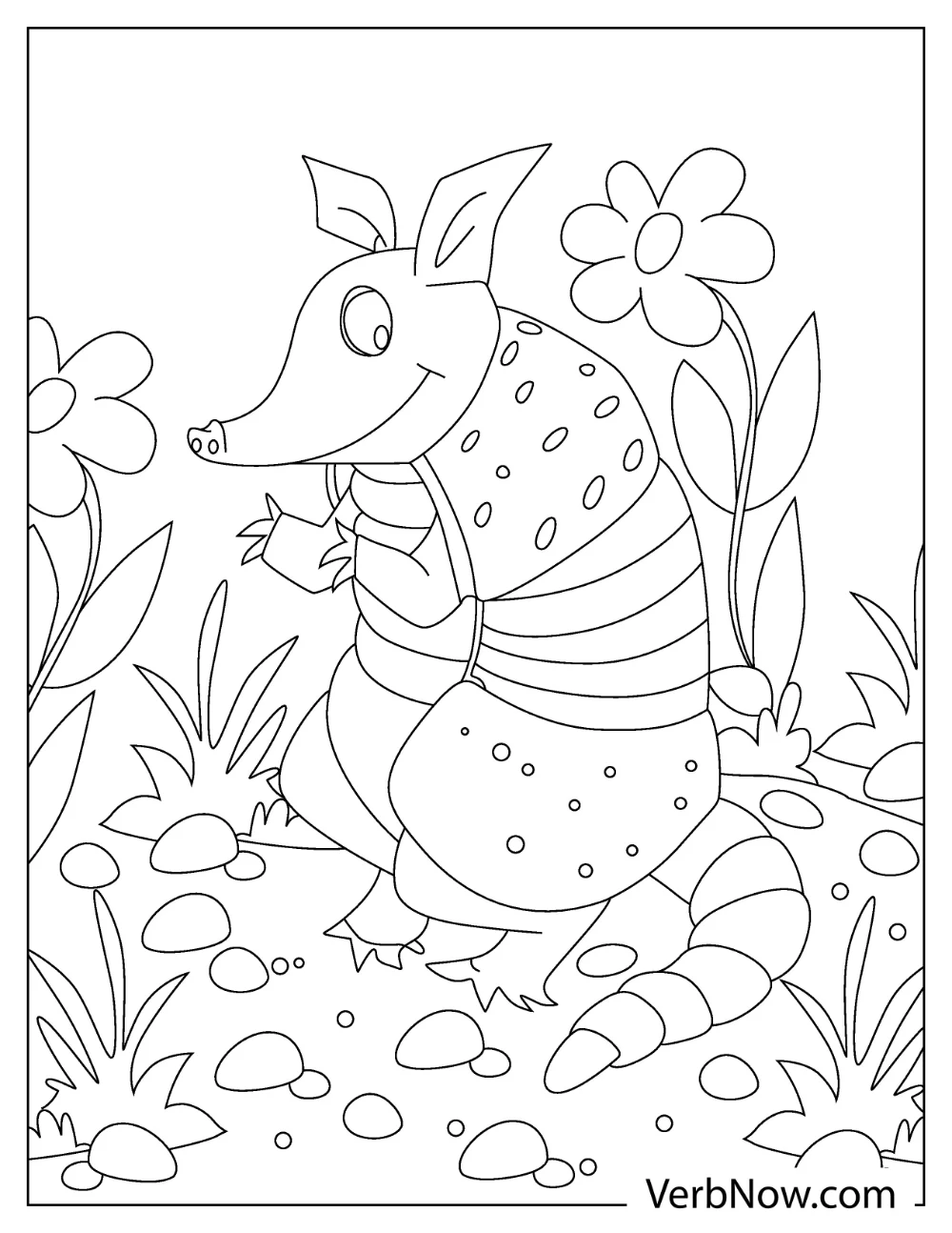 Cute Armadillo with flowers and pebbles coloring picture