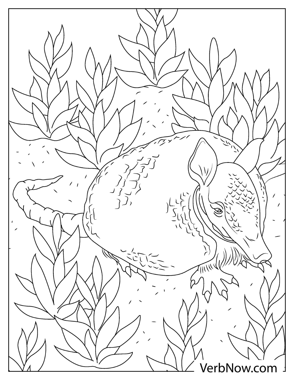 Cute Armadillo surrounded by plants coloring page for toddlers