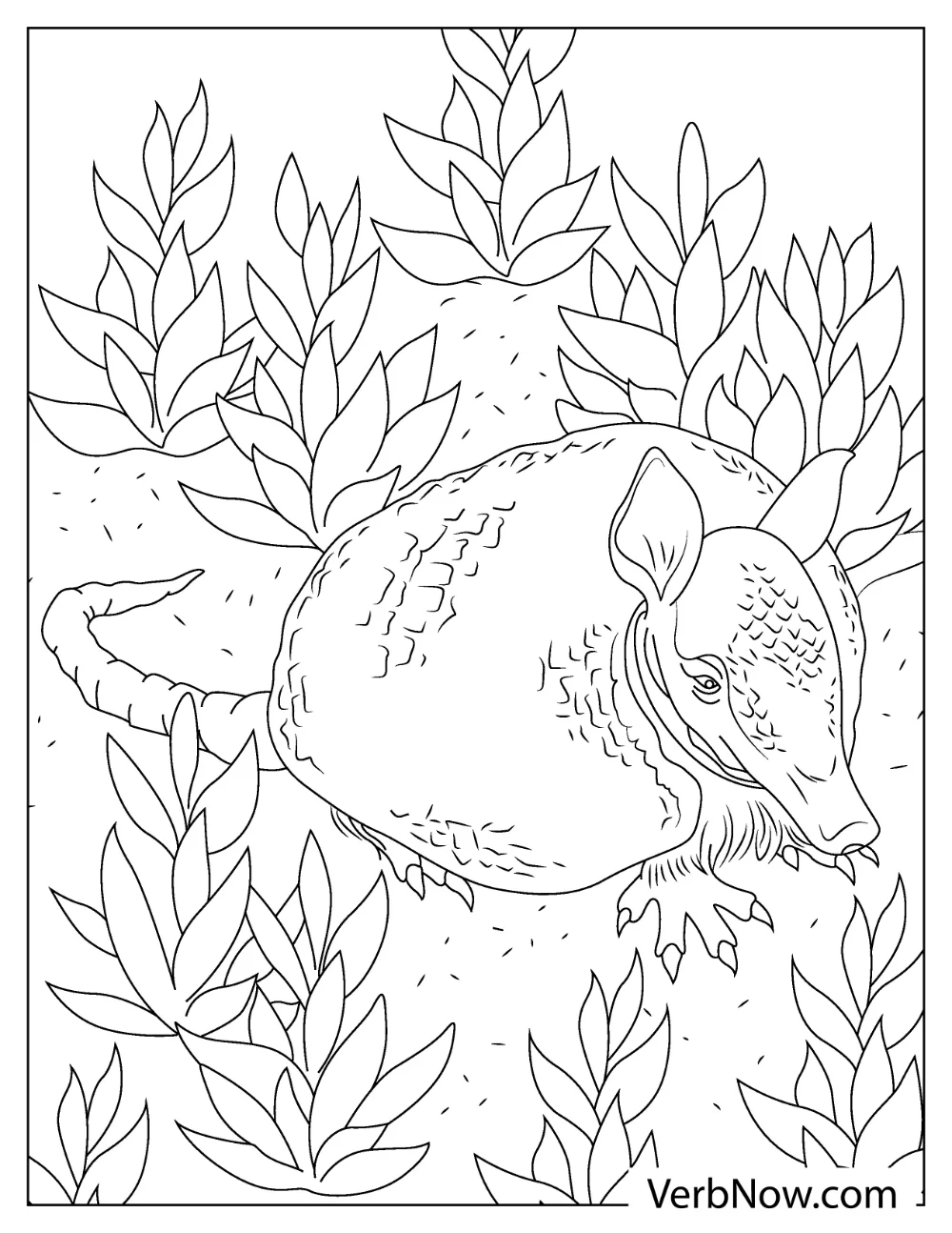 Cute Armadillo surrounded by plants coloring page for toddlers
