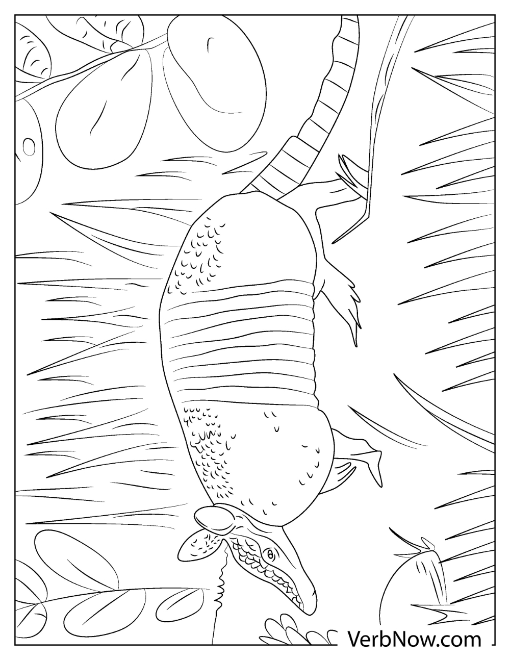 Detailed Armadillo coloring sheet with leaves and nature background