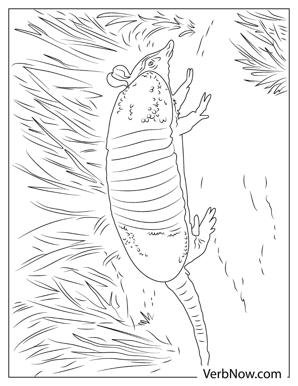 Coloring page for kids with Armadillo walking through grassy field