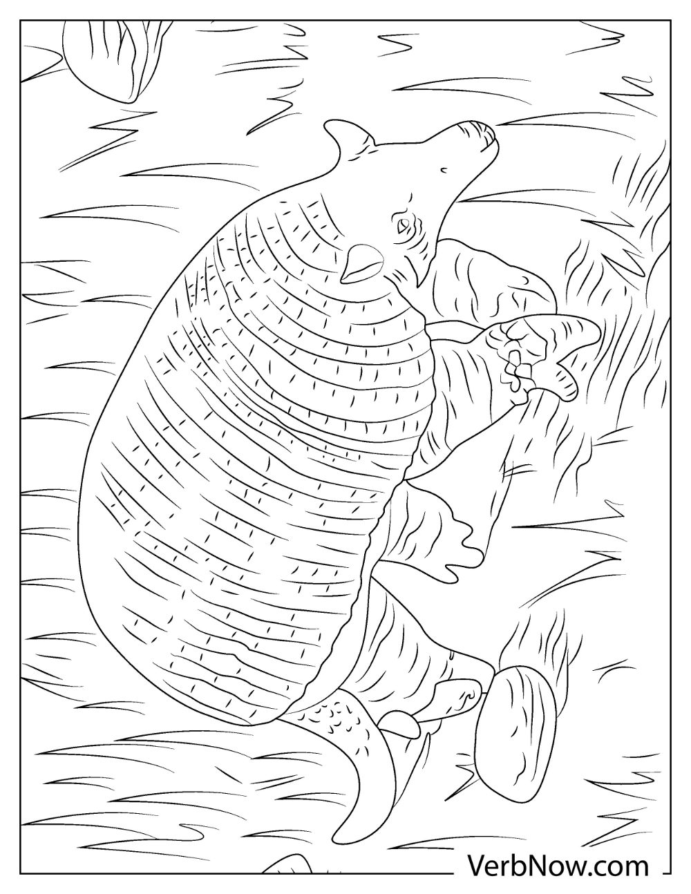 Armadillo resting in grassy field coloring page
