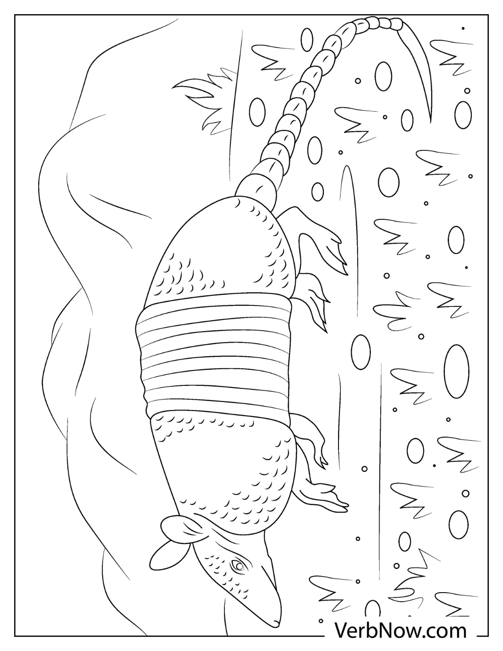 Armadillo walking along rocky path with long tail coloring picture