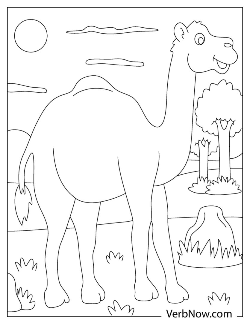 Free CAMEL Coloring Pages for Download (Printable PDF)
