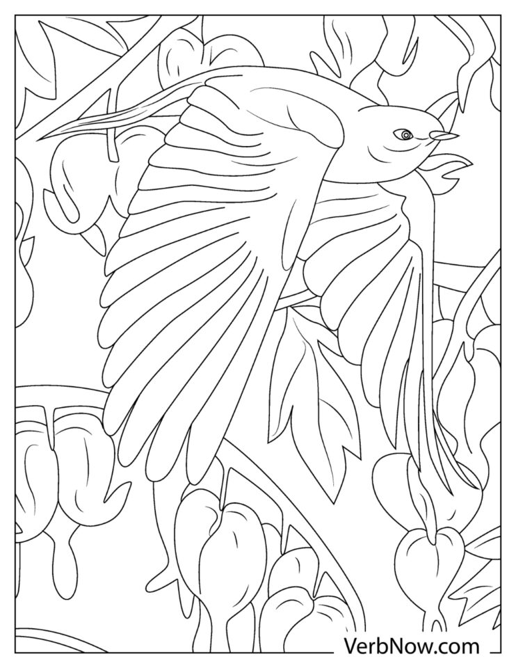 Free CHICKADEE Coloring Pages for Download (Printable PDF)