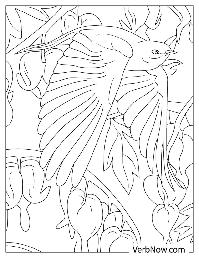 Free CHICKADEE Coloring Pages for Download (Printable PDF)