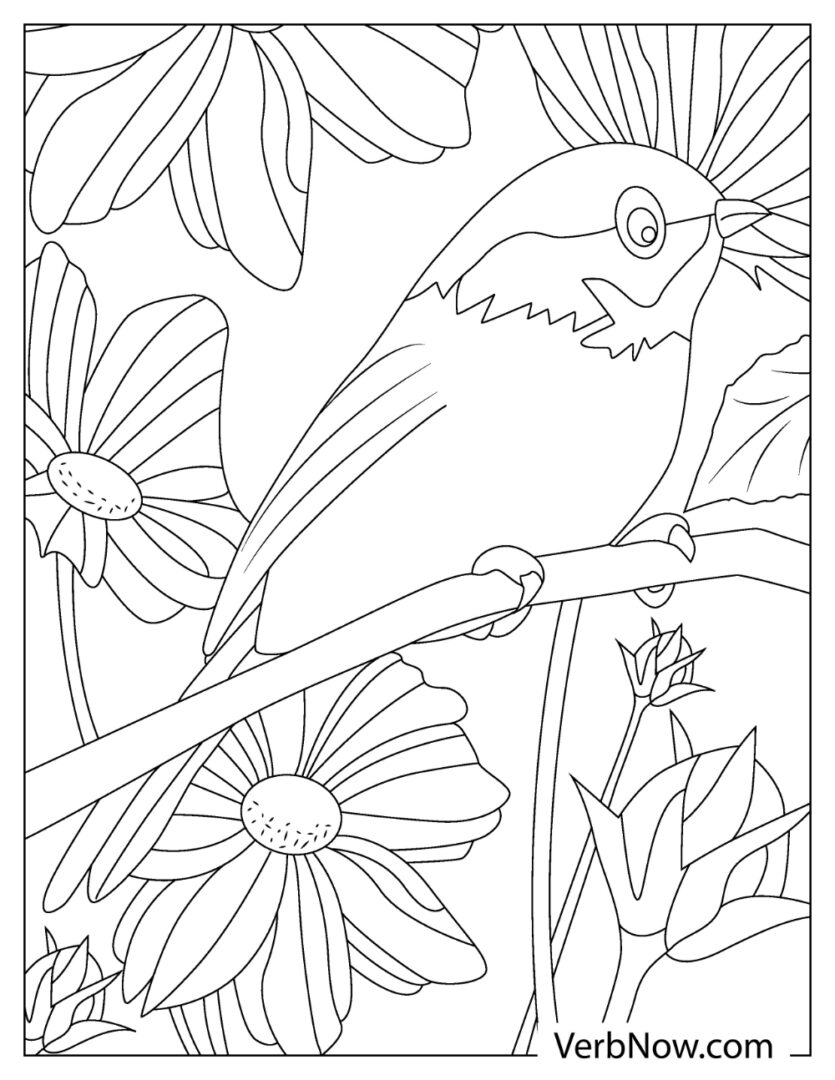 Free CHICKADEE Coloring Pages for Download (Printable PDF)