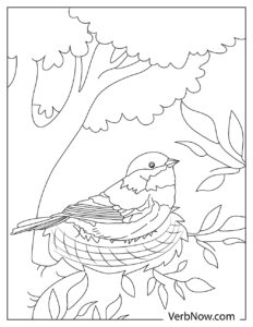 Free CHICKADEE Coloring Pages &amp; Book for Download (Printable PDF) - VerbNow