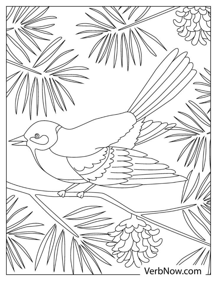 Free CHICKADEE Coloring Pages for Download (Printable PDF)