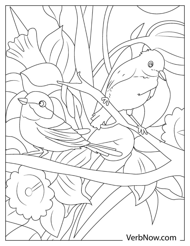 Free CHICKADEE Coloring Pages for Download (Printable PDF)
