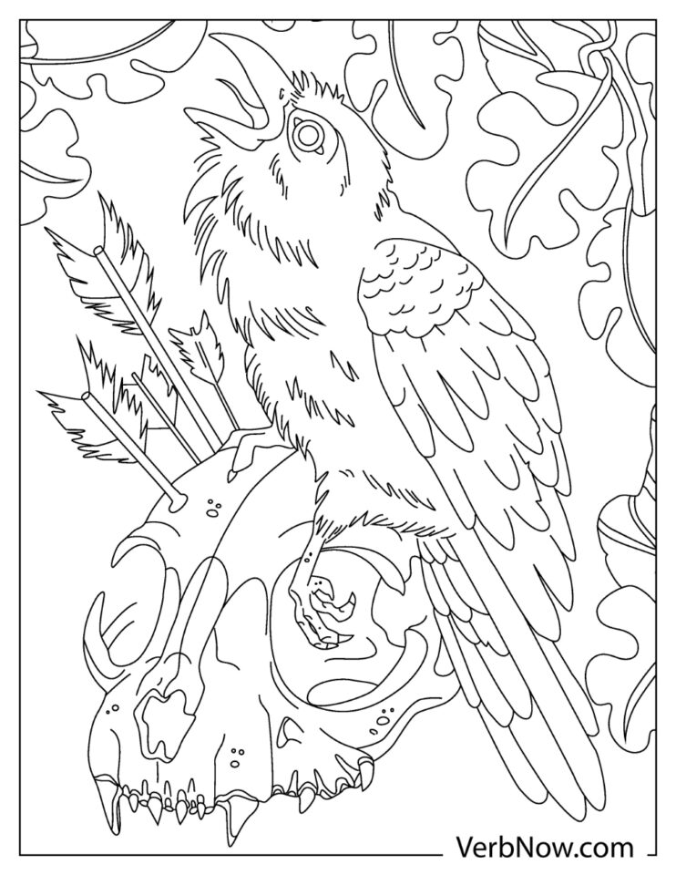 Free CROW Coloring Pages & Book for Download (Printable PDF) VerbNow
