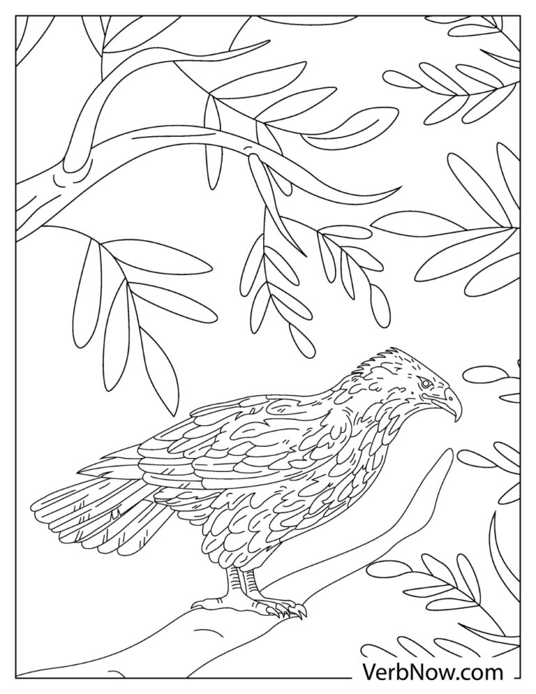 Free FALCON Coloring Pages &amp; Book for Download (Printable PDF) - VerbNow